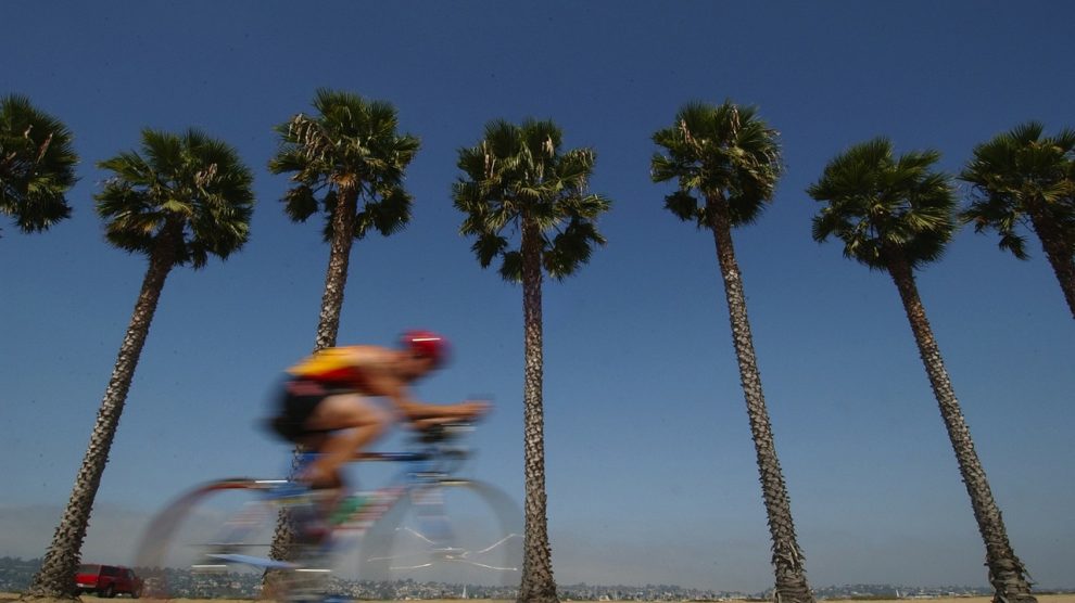 Cyclist Palm Trees