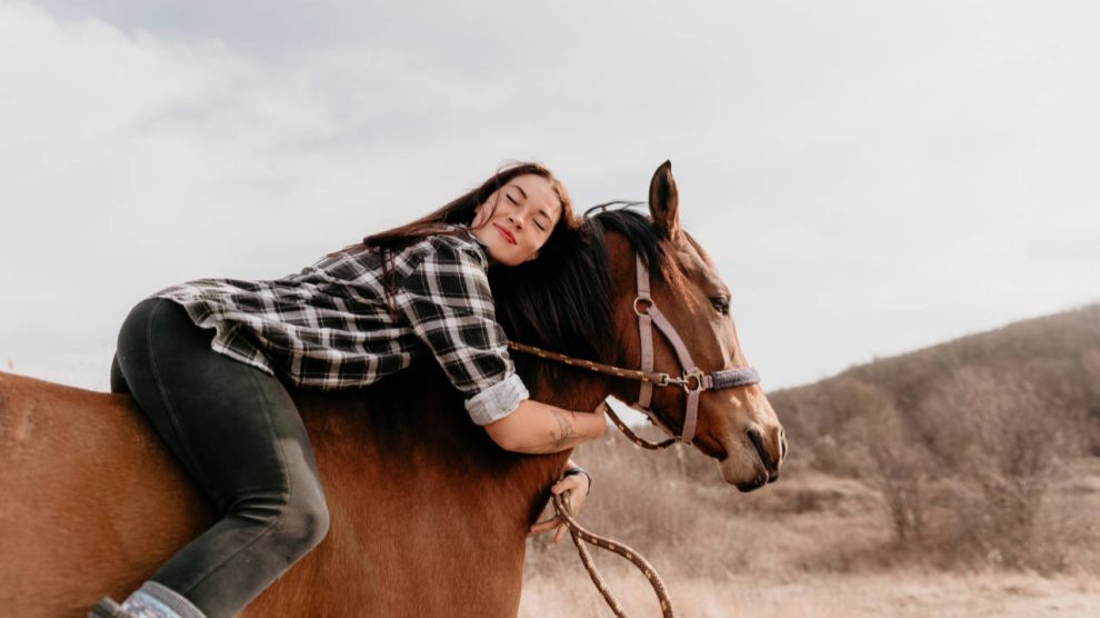 Horse Bareback Riding